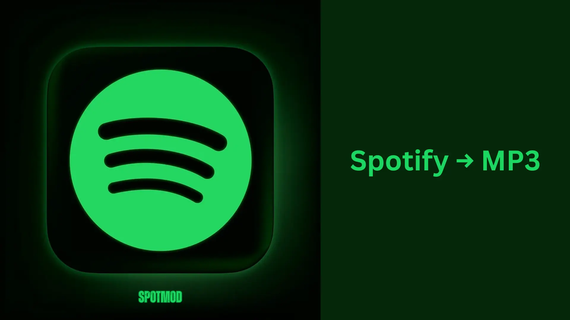 Spotify to MP3 Converter