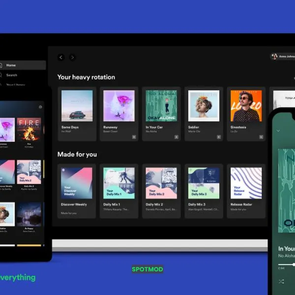 Premium Features: Access To The Premium Artist’s Accounts And Playlists