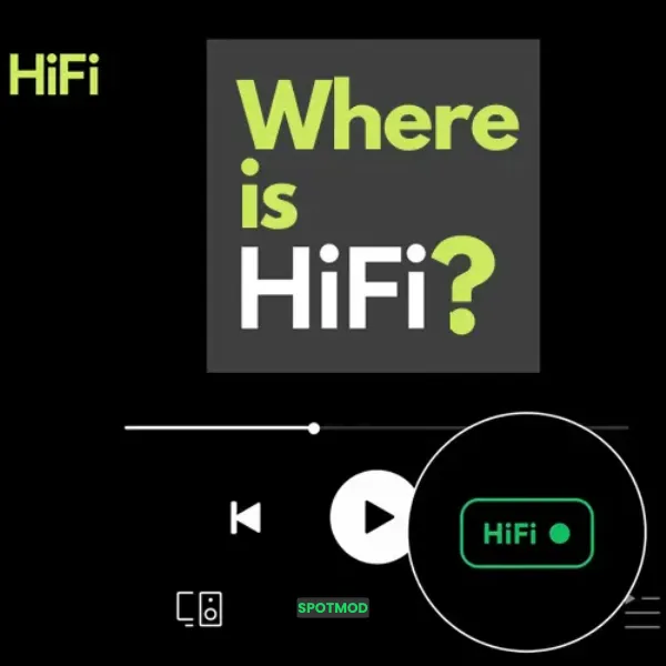 Premium Features: Hi-Fi