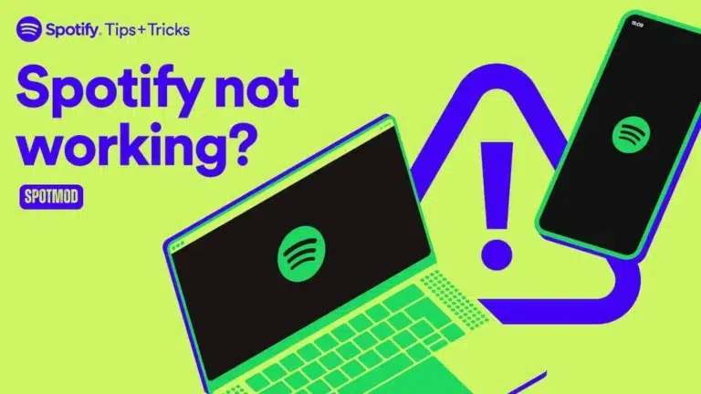 Spotify Issues