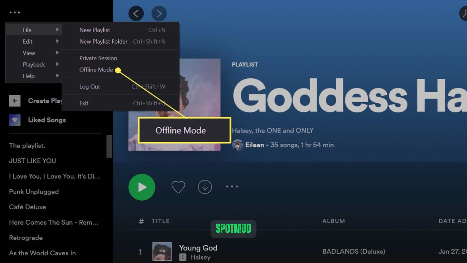 Spotify Offline Mode