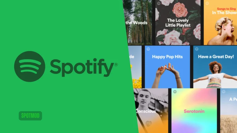 Spotify Playlist Followers