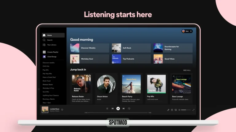 Spotify Premium for PC