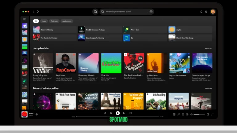 Spotify Web Player